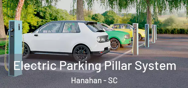 Electric Parking Pillar System Hanahan - SC