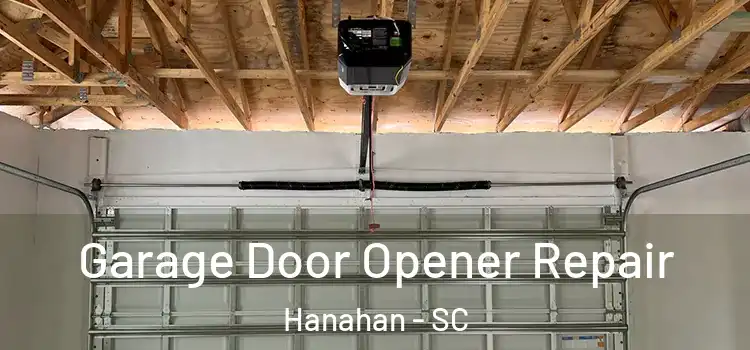 Garage Door Opener Repair Hanahan - SC