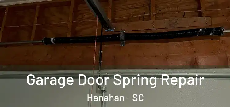  Garage Door Spring Repair Hanahan - SC