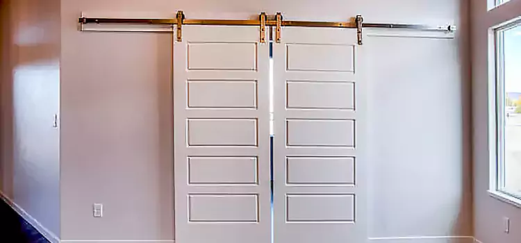 Glass Barn Door with Installation Hardware Kit Hanahan