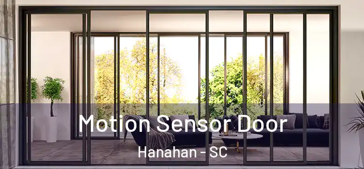  Motion Sensor Door Hanahan - SC